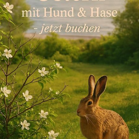 Fewo Ostseele - Julchen ทิมเมนดอร์เฟอร์ ชตรันด์ ภายนอก รูปภาพ