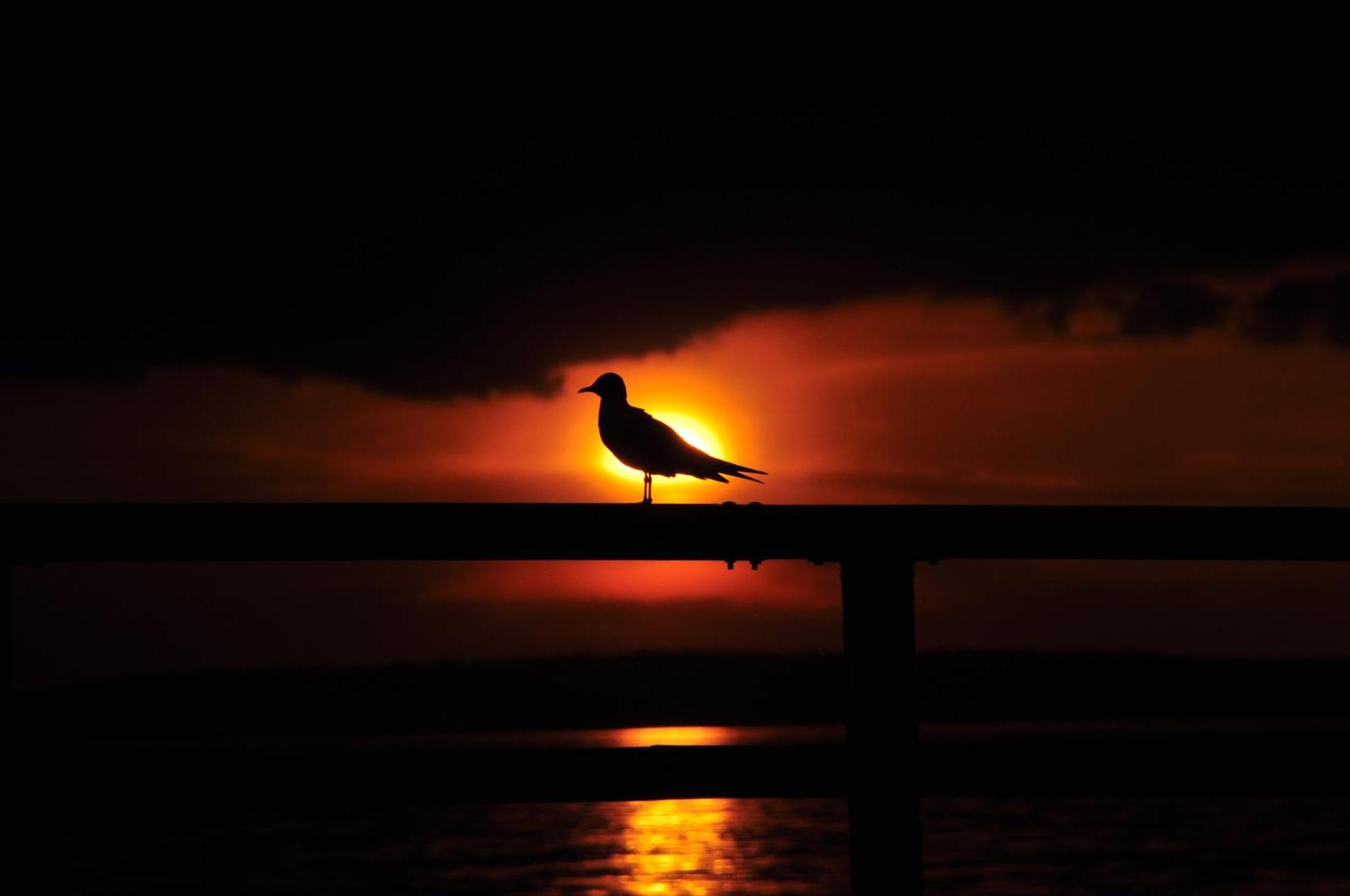 Fewo Ostseele - Julchen ทิมเมนดอร์เฟอร์ ชตรันด์ ภายนอก รูปภาพ
